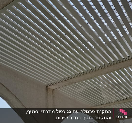 פרגולה עם קורות עץ לבנות בגינה